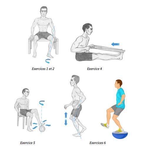 Comment choisir un élastique pour muscler chevilles et genoux - AGKR