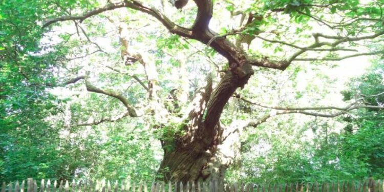 Pourquoi est-ce que je cours ?