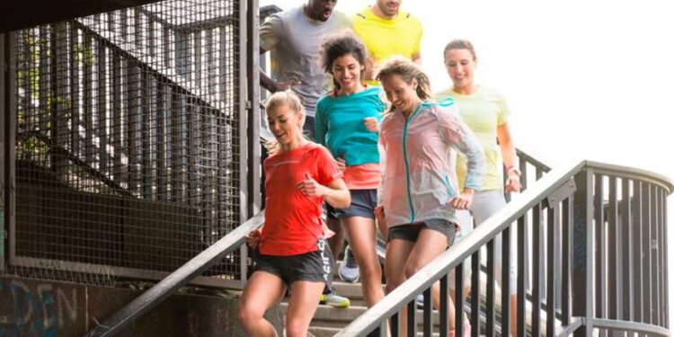 Toute l’actualité trail du lundi 15 janvier