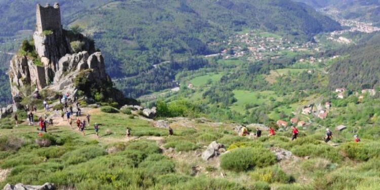 Toute l’actualité trail du vendredi 19 janvier