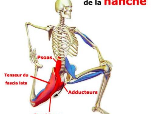 psoas trail