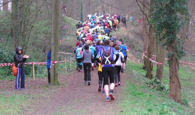 actualite trail janvier
