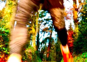 choisir chaussures de trail