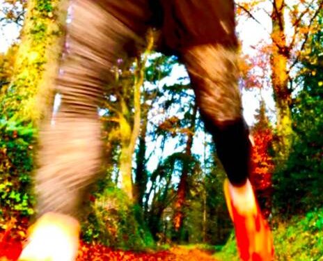 choisir chaussures de trail