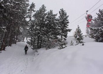 Toute l’actualité trail du jeudi 1er février