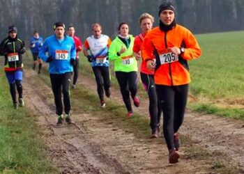 Conseil : les marques de chaussures de trail à éviter quand on a les pieds larges