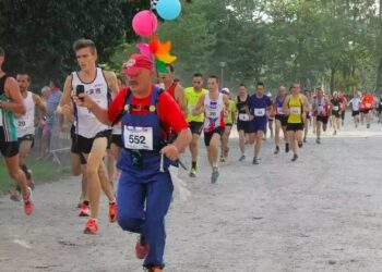 Trouver une paire de chaussures pour des trails de 20 km