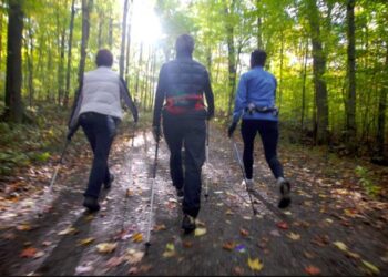 chaussures marche nordique