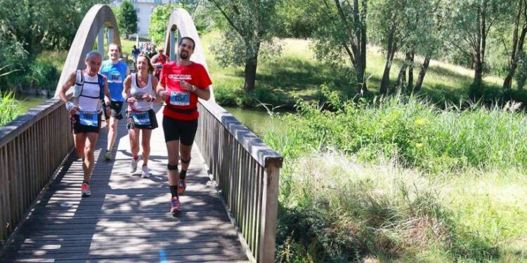 sylvain court oxytrail