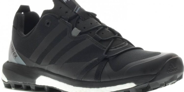 Que penser des chaussures de trail Adidas terrex agravic