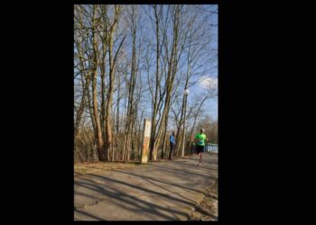 championnat de france universitaire de trail