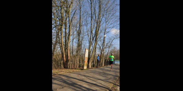 championnat de france universitaire de trail