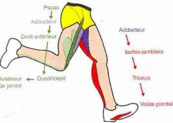 Quelles chaussures de trail pour soulager la chaîne postérieure