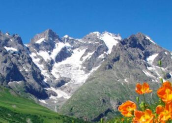 Chaussure de trail : la Ultra raptor est une vrai montagnarde