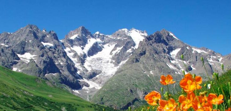 Chaussure de trail : la Ultra raptor est une vrai montagnarde