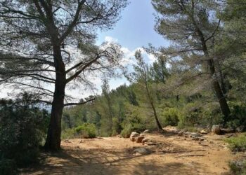 Toute l’actualité trail du lundi 26 mars