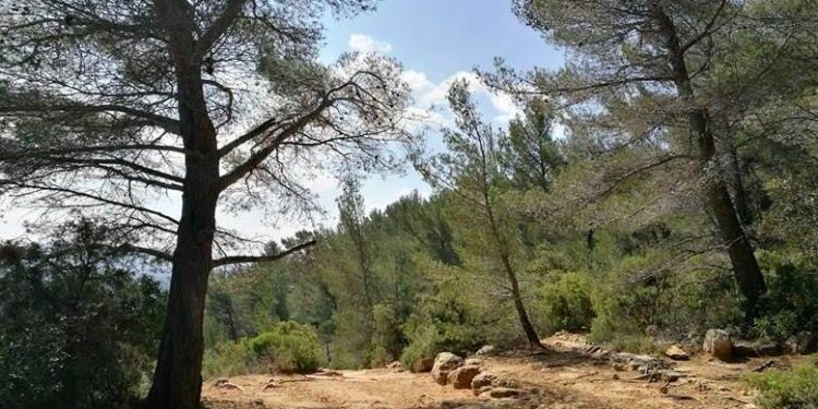 Toute l’actualité trail du lundi 26 mars