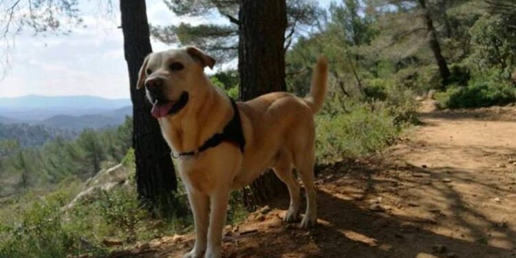 Toute l’actualité trail du mardi 27 mars