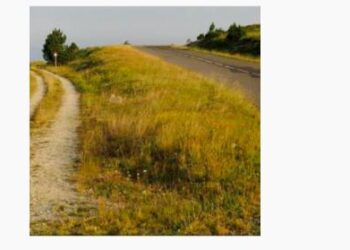 Route ou chemin ? Courez avec une « chaussure hybride » !