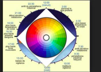 A quelle heure faut-il aller courir ?