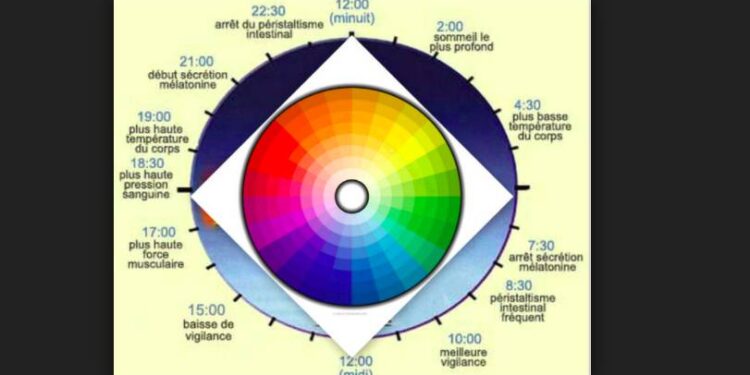 A quelle heure faut-il aller courir ?
