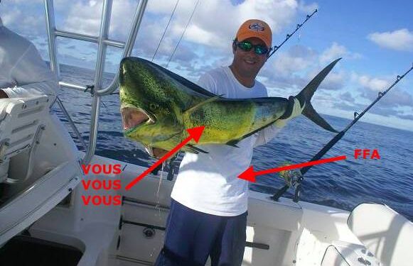 FFA… la pêche au gros