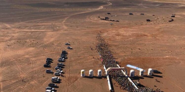 Toute l’actualité trail du mercredi 11 avril