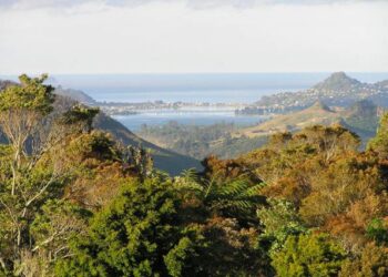 Trails sable terre boue : choisissez vos chaussures tout terrain !