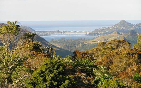 Trails sable terre boue : choisissez vos chaussures tout terrain !