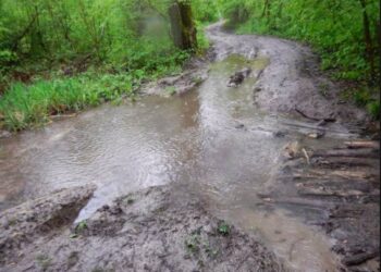 chaussures de trail boue