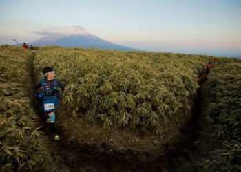 actualite trail avril