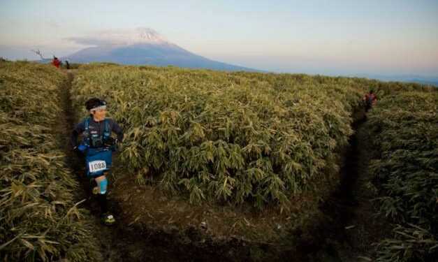 actualite trail avril