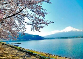 Toute l’actualité trail du lundi 30 avril