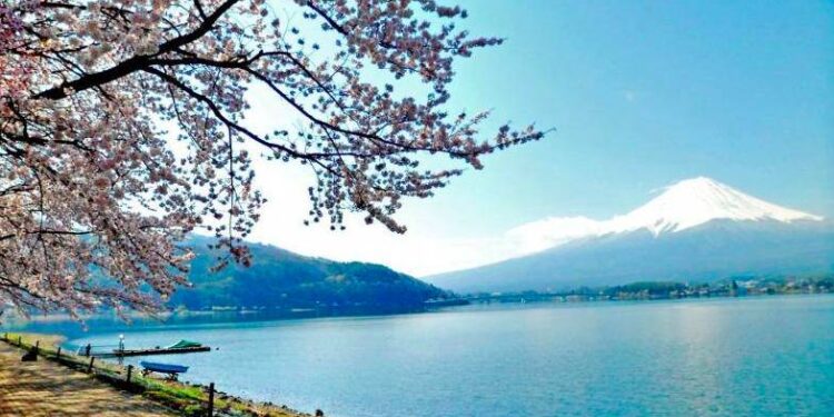 Toute l’actualité trail du lundi 30 avril