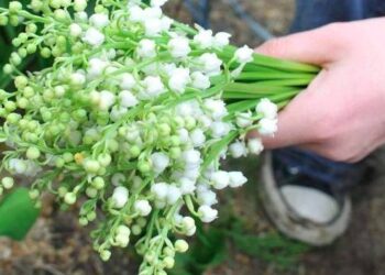 Toute l’actualité trail du mercredi 2 mai
