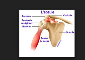 point de cote epaule trail