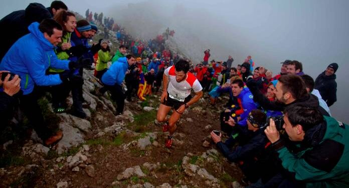 actualites trail mai