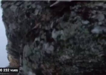 Toute l’actualité trail du mardi 5 juin