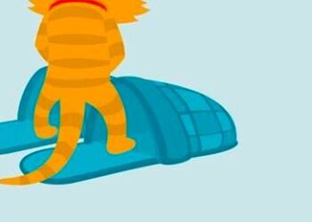 prize monney utmb 2018