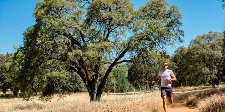 Toute l’actualité trail du vendredi 22 juin