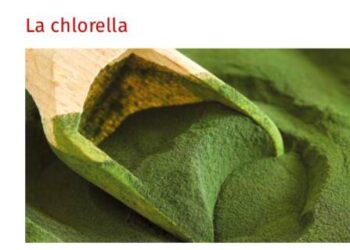 Nutrition trail : la chlorella est dangereuse pour la santé