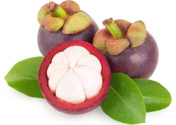Le Mangoustan : un fruit asiatique qui va booster votre récupération !