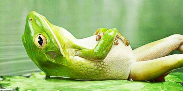 repos entre deux sorties trail