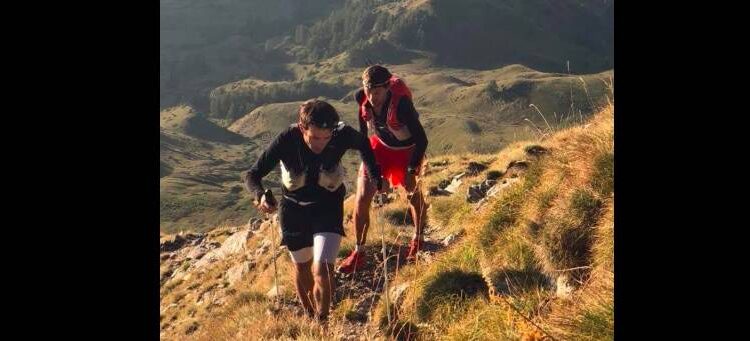 françois d'Haene serre ponçon