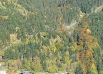 chasse interdite trail