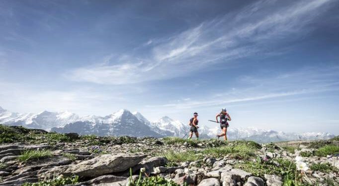 Toute l’actualité trail du lundi 29 octobre