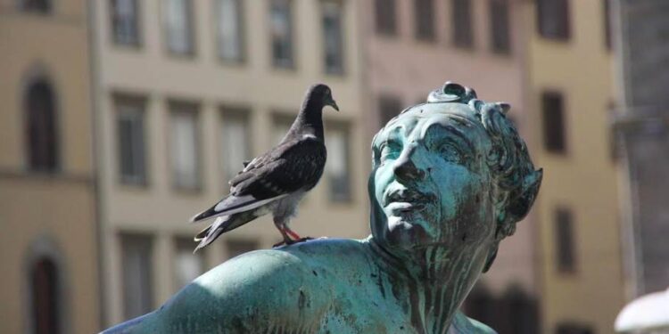 Quand les organisations s’arrangent pour vous faire cracher votre argent.