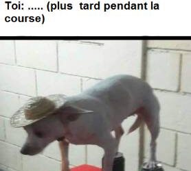 Humour trail : ça va le faire sans tes Salomon ?