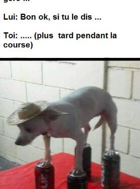 Humour trail : ça va le faire sans tes Salomon ?