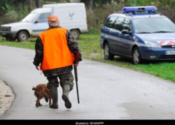 accident de chasse roncq
